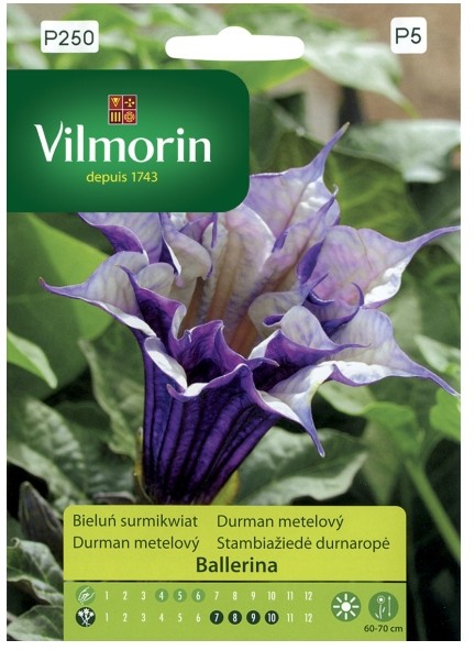 Vilmorin Nasiona bieluń surmikwiat Ballernia