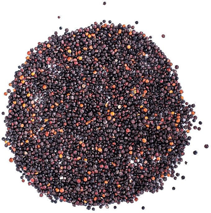 Planteon Quinoa czarna 5kg 2-0140-03-6