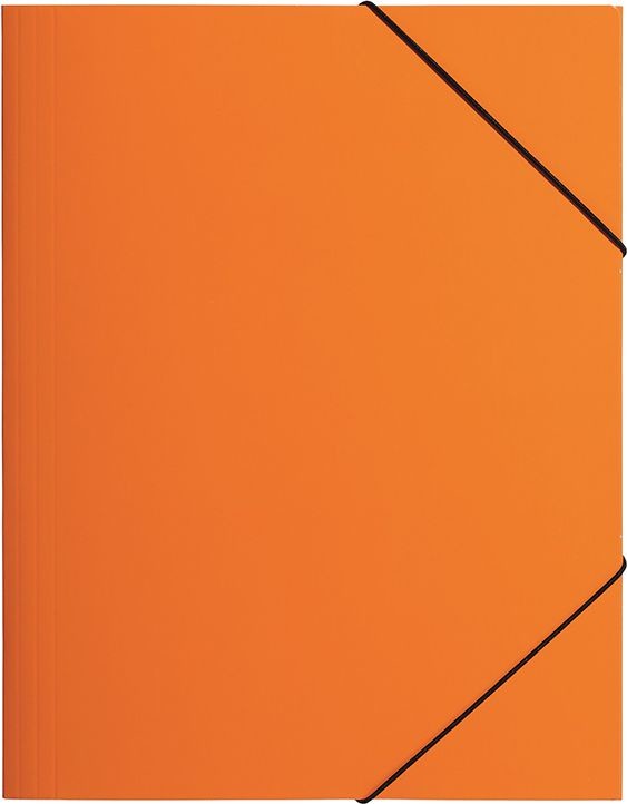 Pagna Teczka z gumką A4 pomarańczowa PP P2161309