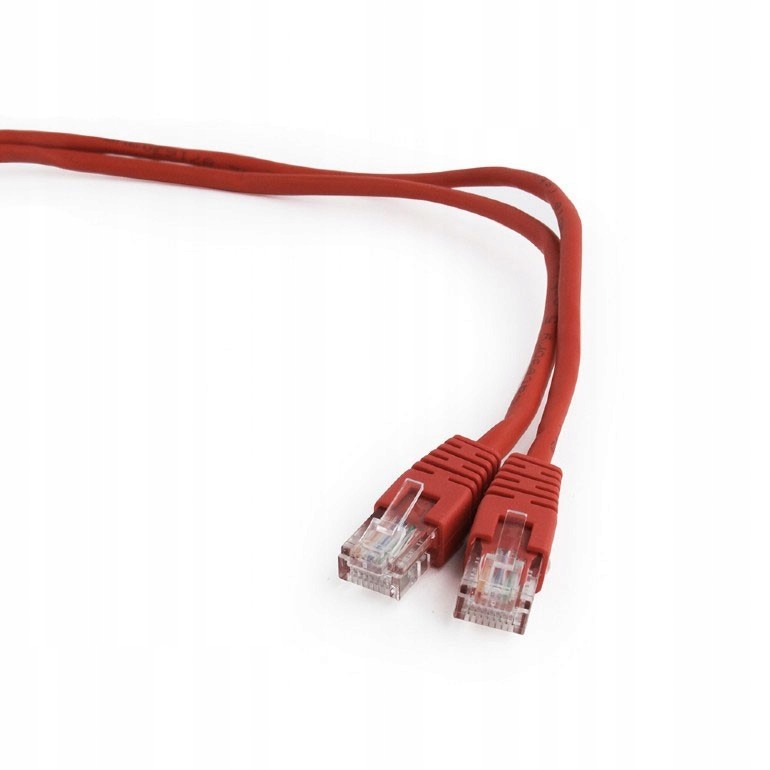 Gembird patchcord czerwony Utp 5e 150cm 1,5m W-wa