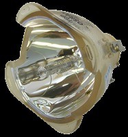 Osram Lampa do P-VIP 300/1.3 E21.8 - oryginalna lampa bez modułu 28-057