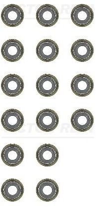 REINZ Zestaw uszczelniaczy, trzonek zaworu 12-53854-01