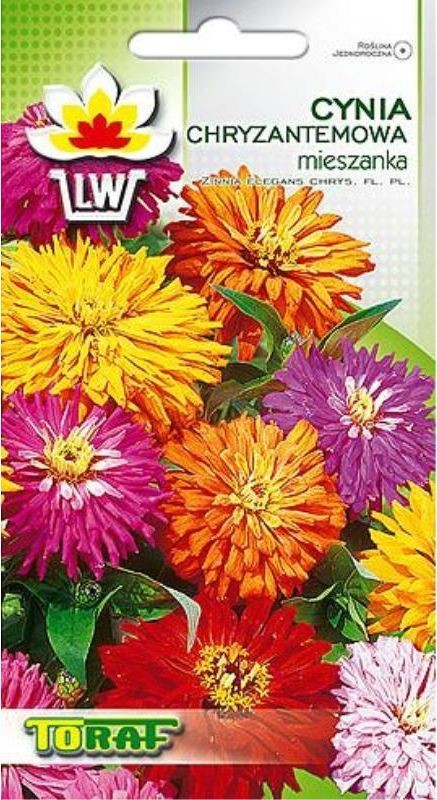 Toraf KWIATY Cynia chryzantemowa mix nasiona 1g 00358