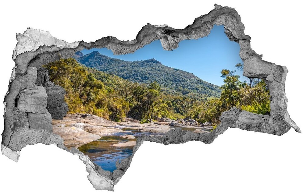 Wallmuralia.pl naklejka fototapeta 3D na ścianę Rzeka w lesie