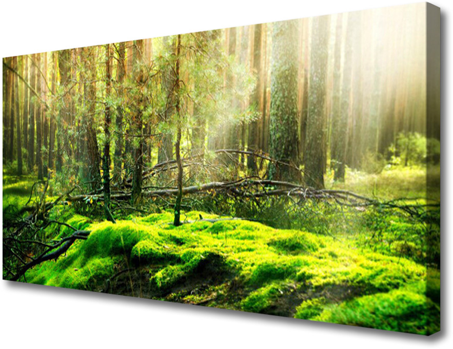 PL Tulup Obraz na Płótnie Mech Las Natura 100x50cm