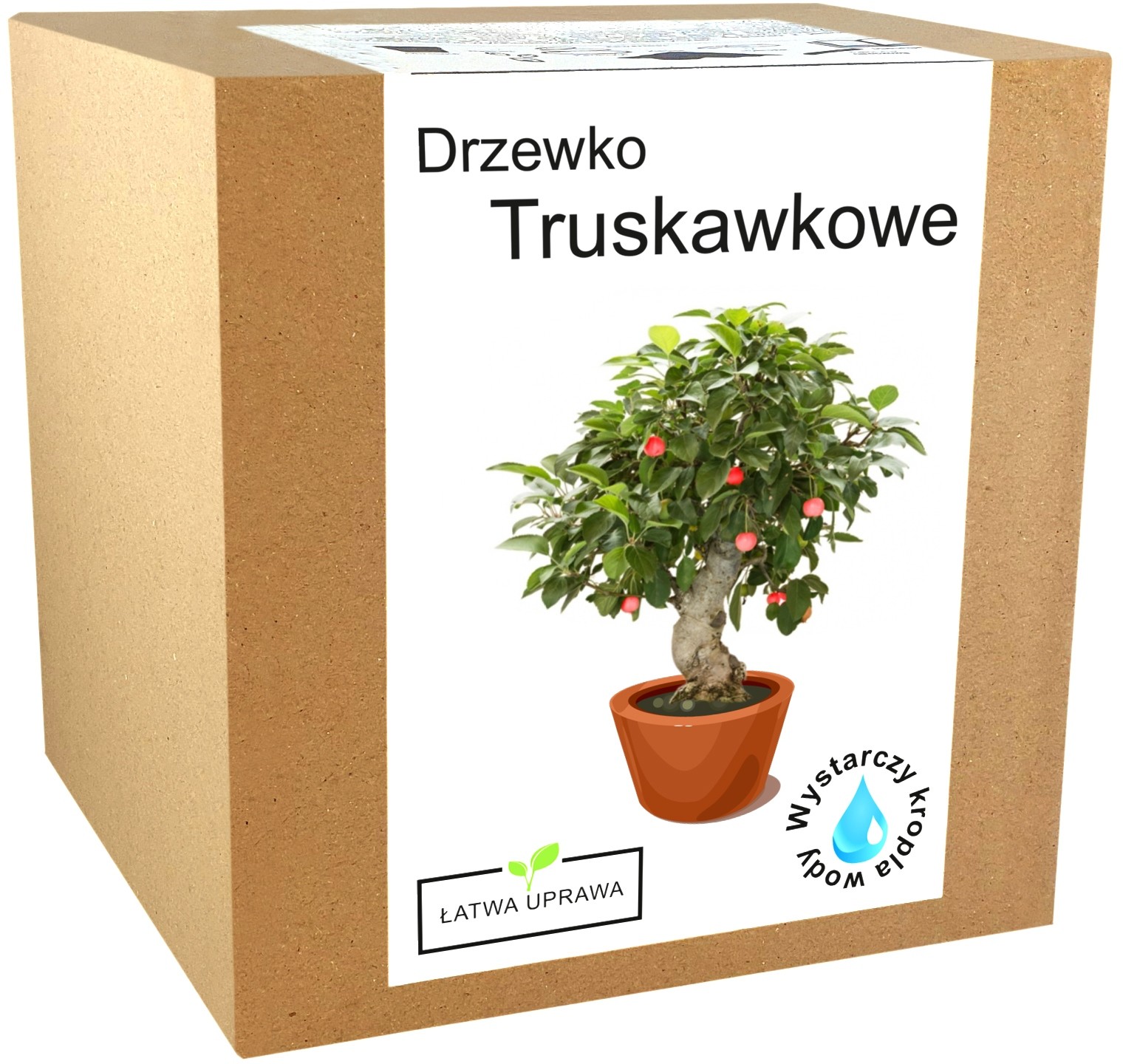 Zestaw do uprawy Bonsai Drzewko Truskawkowe owoce