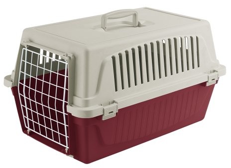Ferplast ferplast Transporter Atlas 10 dla psów i kotów do 5 kg/stabilne pudełko do noszenia w kolorze czarnym z białym  łącznie z ergonomicznym uchwytem/wymiary: 48 x 32,5 x 29 cm, bordowy