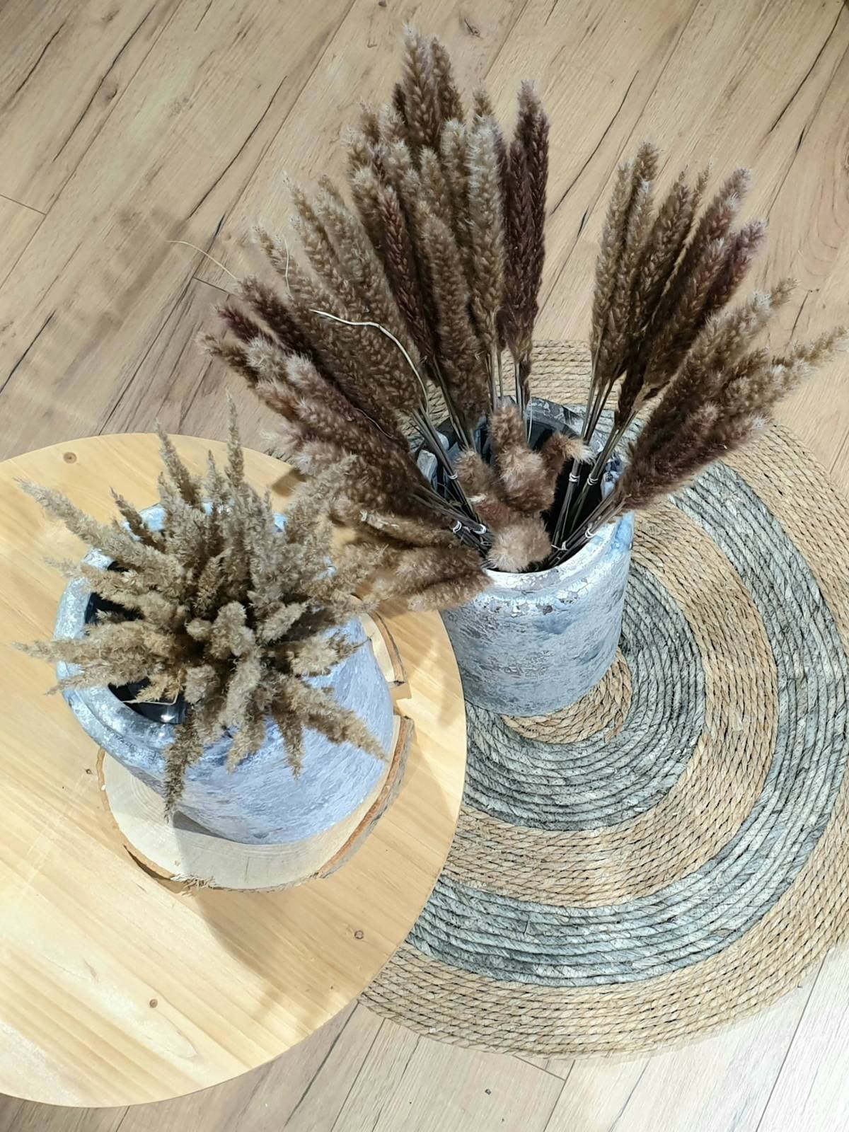 Trawa pampasowa 65-75 cm