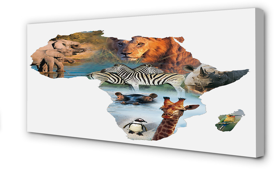 PL Tulup Obrazy na płótnie Zebra żyrafa tygrys 125x50cm