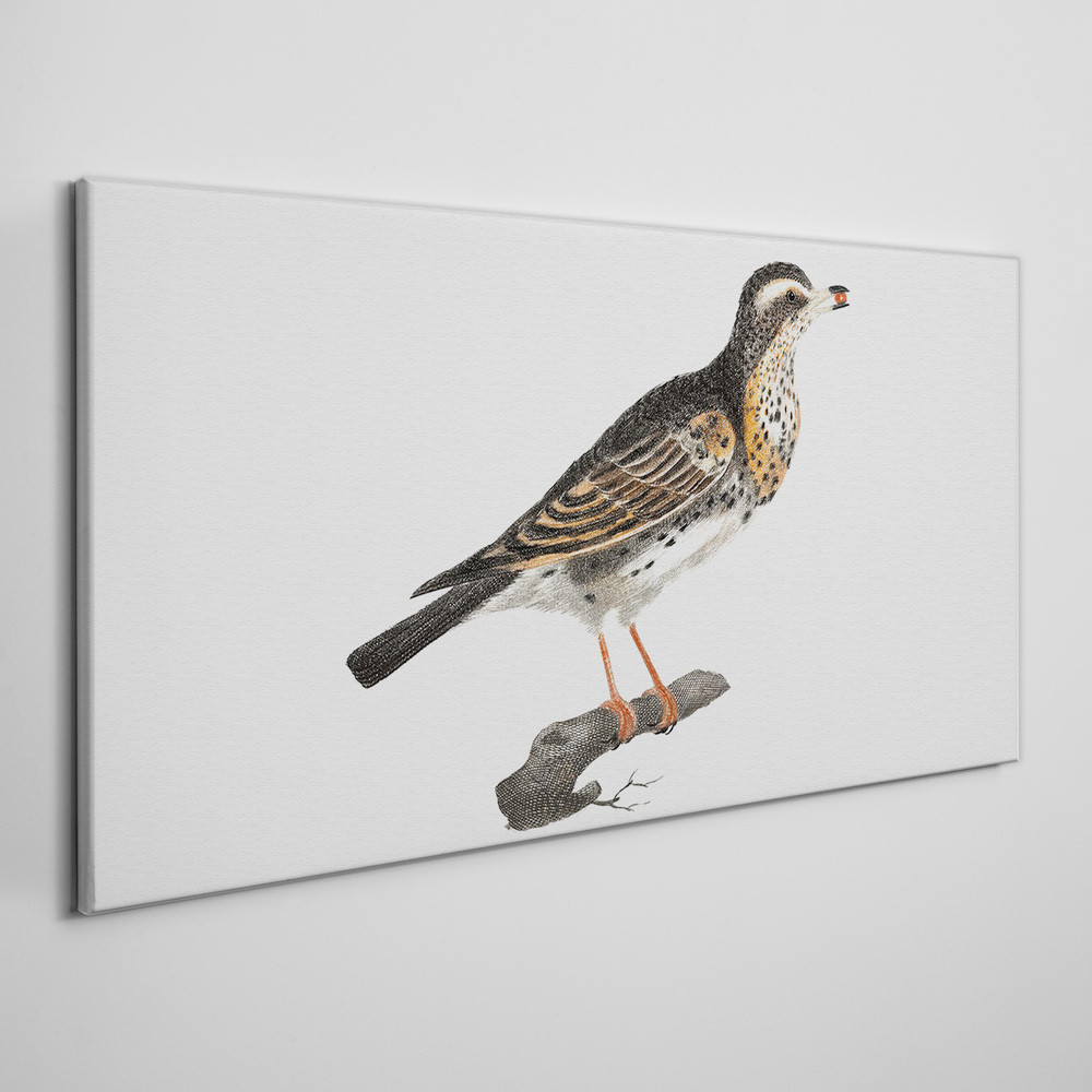 PL Coloray Obraz na Płótnie Rysunek zwierzę ptak gałąź 140x70cm