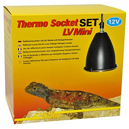 Lucky Reptile Thermo Socket LV Mini niskiego napięcia lampa halogenowa technika, zestaw