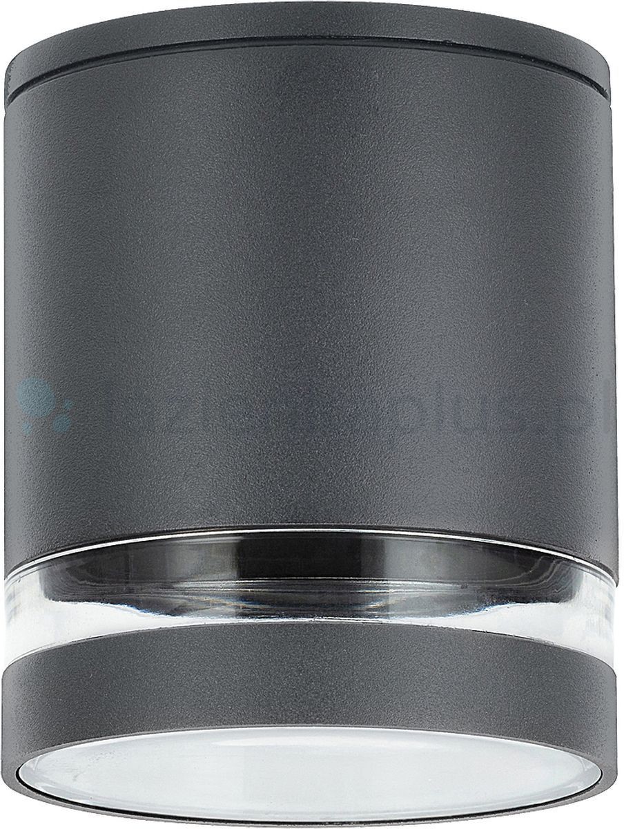 Rabalux Zombor lampa podsufitowa zewnętrzna przezroczysty antracyt 7817