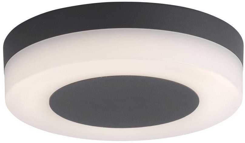 Paul Neuhaus 9490-13 - LED Lampa zewnętrzna FABIAN LED/12,6W/230V IP54