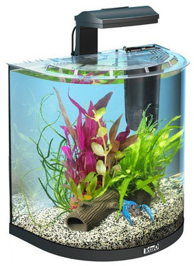 Tetra AquaArt Explorer Line 30 l Crayfish DARMOWA DOSTAWA OD 95 ZŁ!