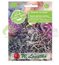 Legutko Nasiona na kiełki kapusty czerwonej BIO 10g