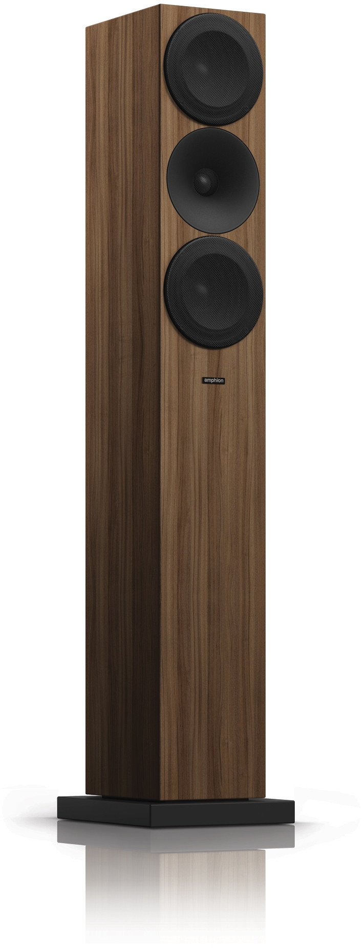 Amphion Helium 520 orzech