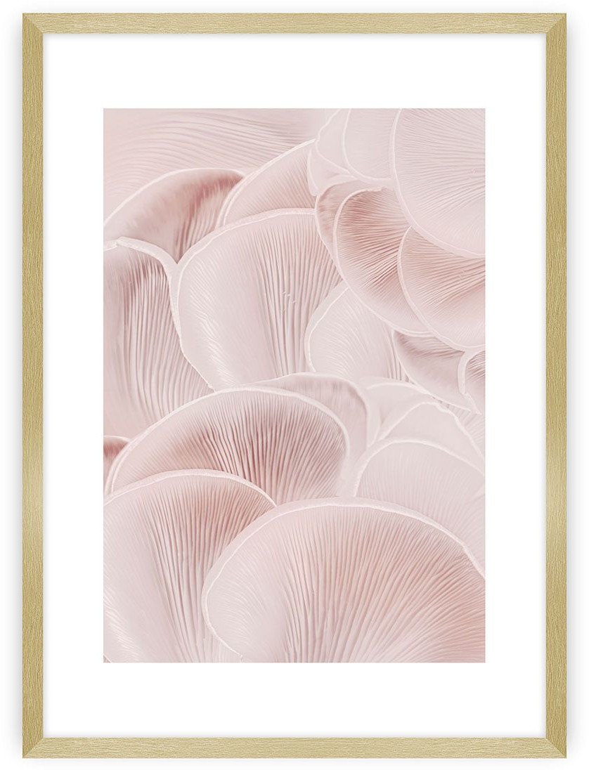 Dekoria Plakat Pastel Pink I 70 x 100 cm Ramka Złota 223H-000-43