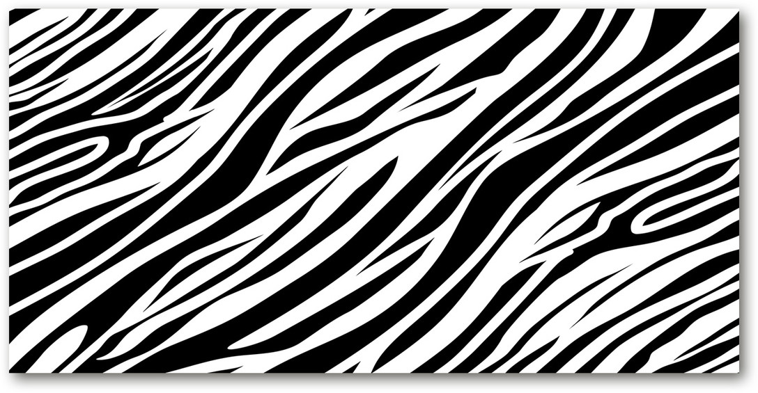 Obraz zdjęcie na ścianę akryl Zebra tło