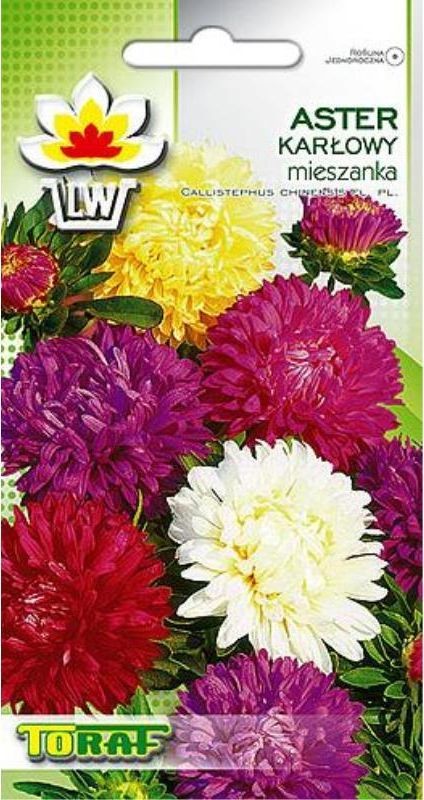 Toraf KWIATY Aster karłowy mix nasiona 1g 00325