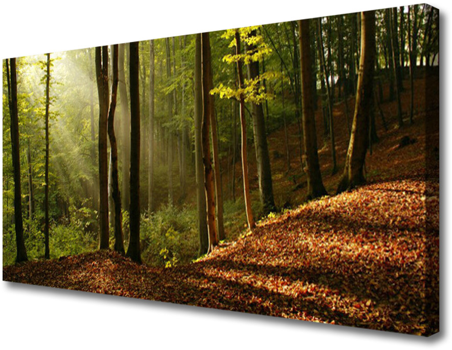 PL Tulup Obraz Canvas Las Drzewa Przyroda 125x50cm