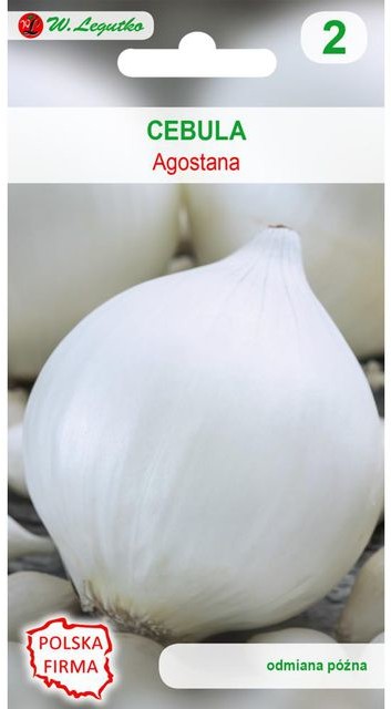 Legutko Cebula AGASTONA