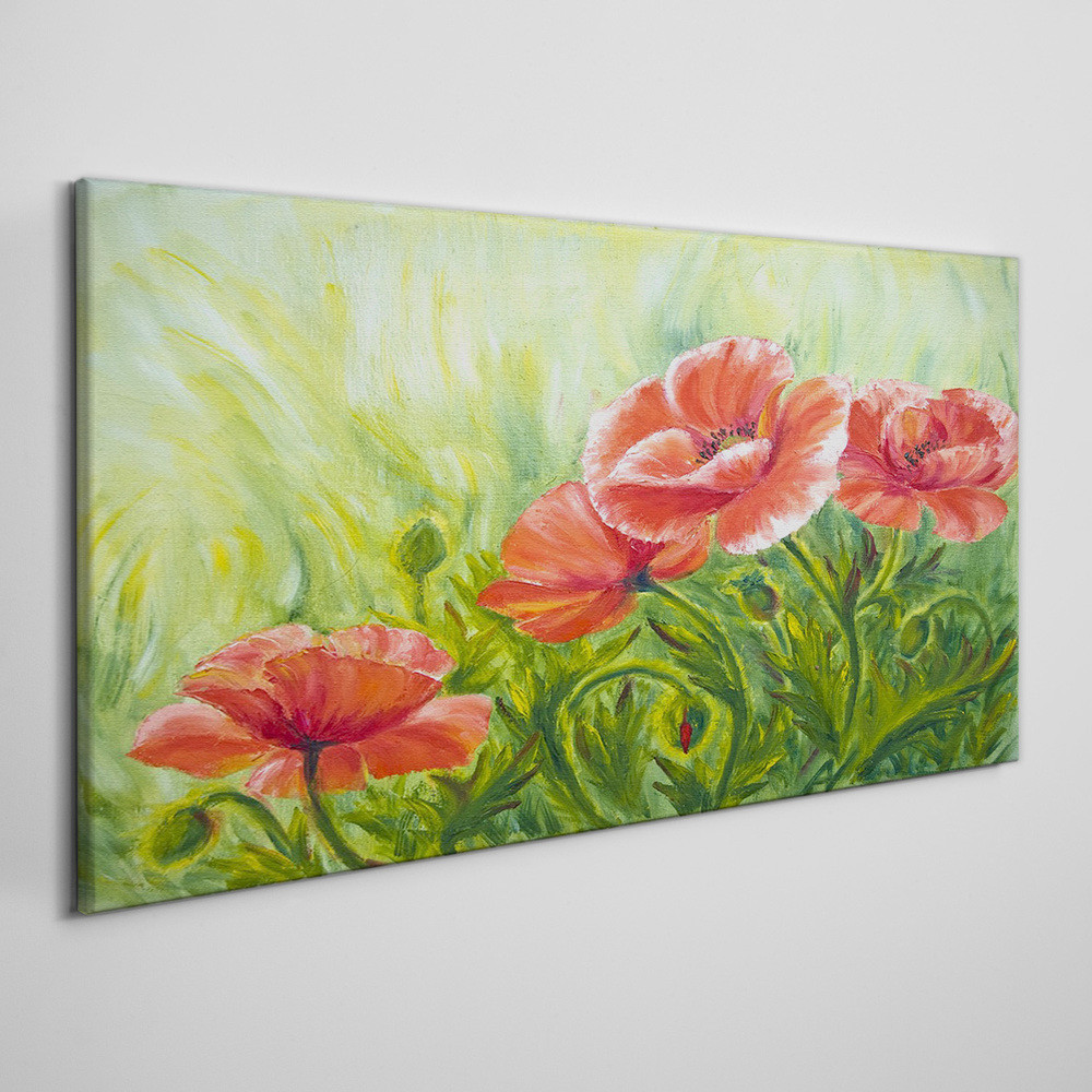 PL Coloray Obraz na Płótnie kwiaty rośliny maki 100x50cm