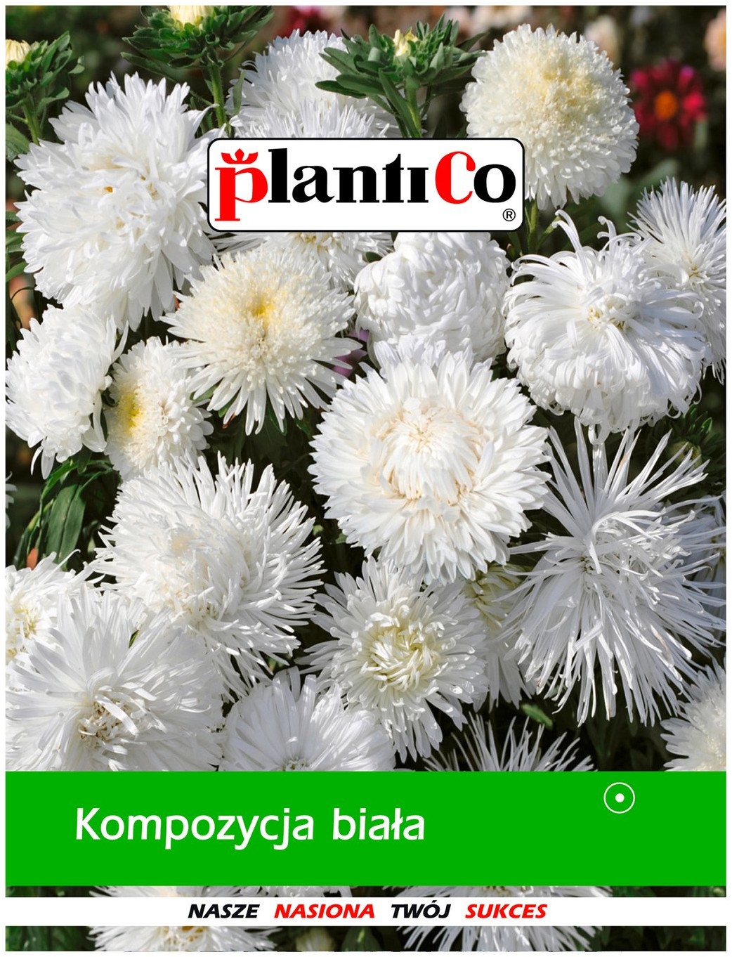 Plantico Kompozycja biała