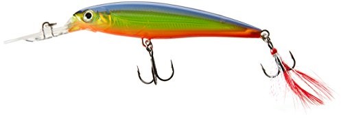 Rapala X-Rap głębokość 10 Fishing Lure (hot Steel) 000503