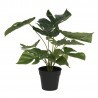Clayre & Eef Sztuczna Roślina w Doniczce Monstera E 6PL0215