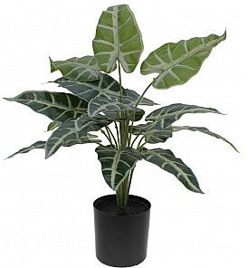 Europalms EUROPALMS Caladium, sztuczna roślina, 38 cm 82508457