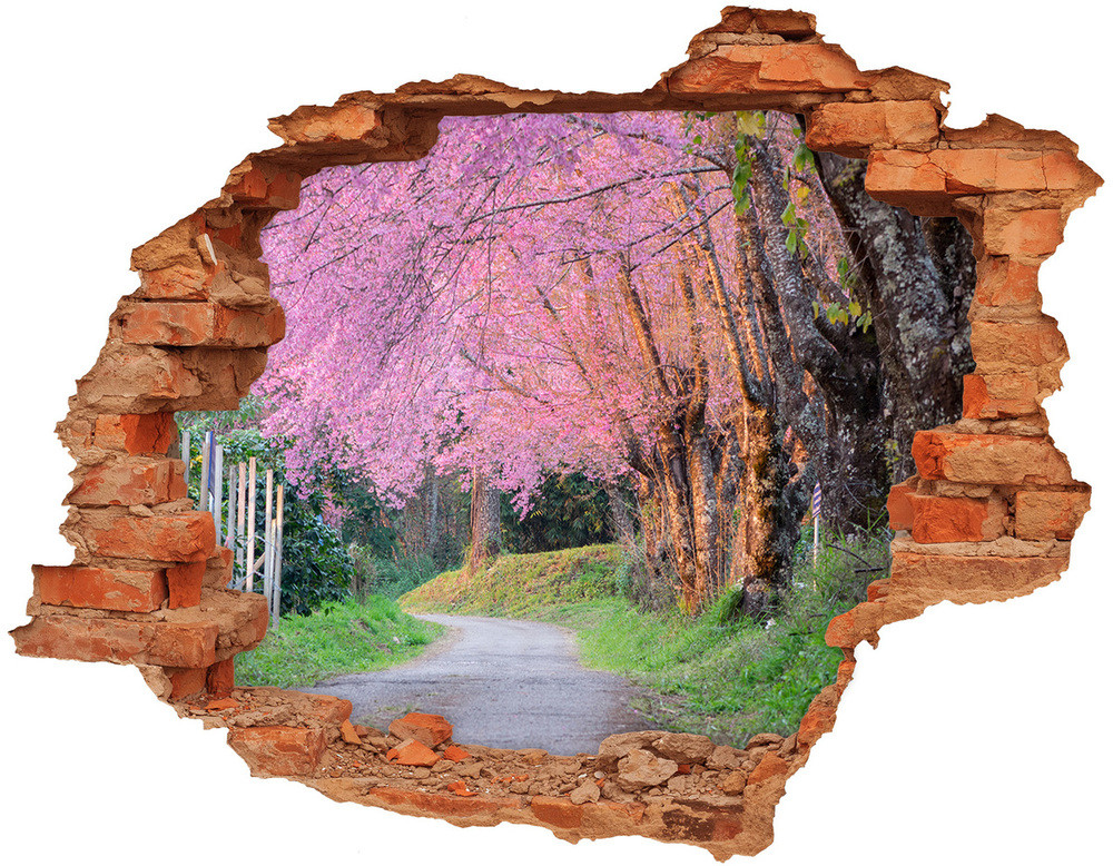 Wallmuralia.pl naklejka fototapeta 3D widok Kwiaty wiśni