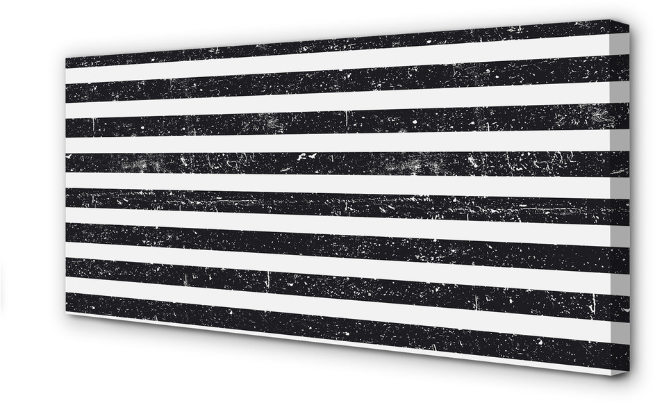 PL Tulup Obrazy na płótnie Paski zebra plamy 100x50cm