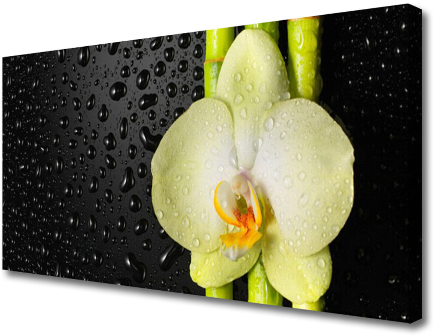 PL Tulup Obraz Canvas Bambus Kwiaty Orchidea 100x50cm