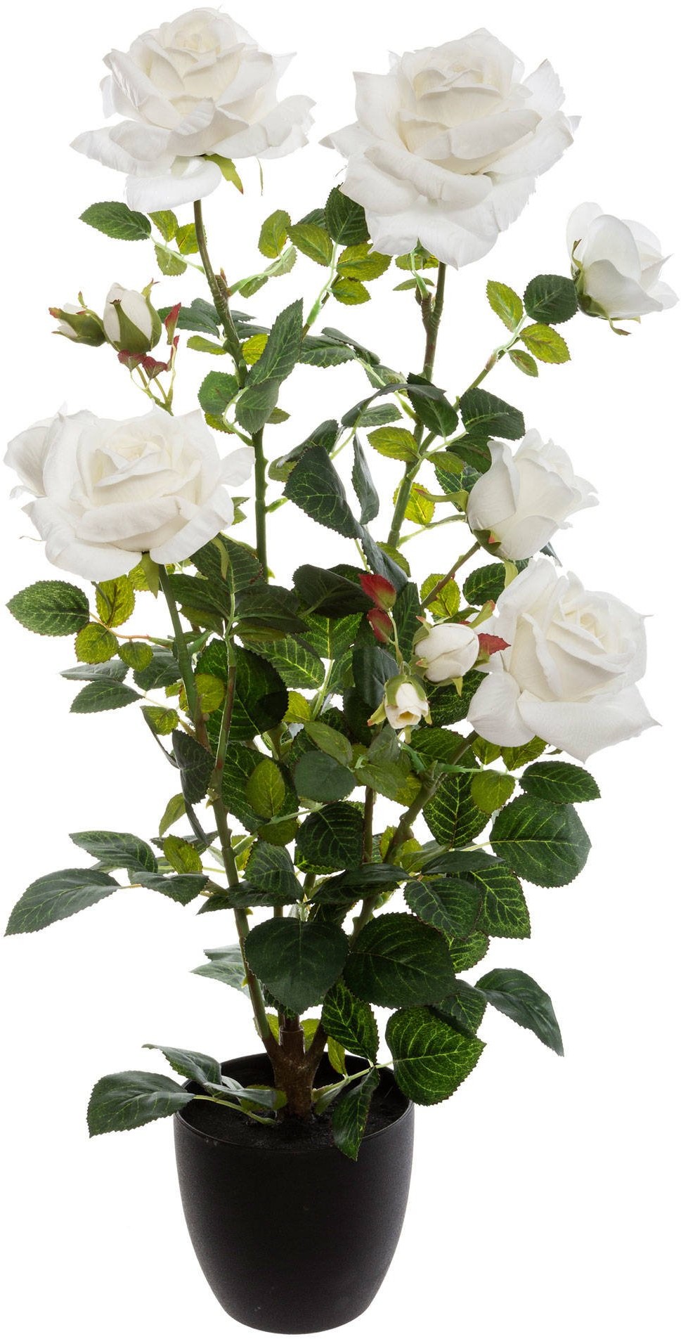 Sztuczna roślina w donicy KRZEW RÓŻY 74 cm biała 168621