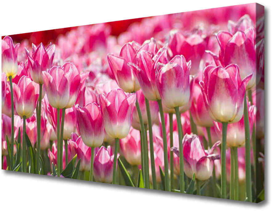 PL Tulup Obraz Canvas Tulipany Kwiaty Natura 125x50cm