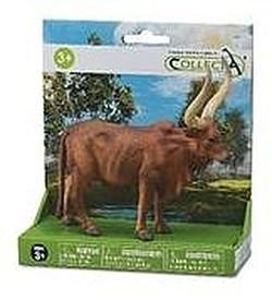 Byk Ankole-Watusi w opakowaniu
