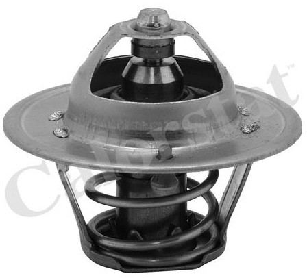 CALORSTAT Termostat, środek chłodzący CALORSTAT TH6313.88J