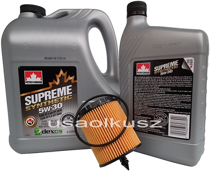 Petro-Canada Filtr oraz mineralny olej 5W30 Buick LaCrosse 2,4 2010
