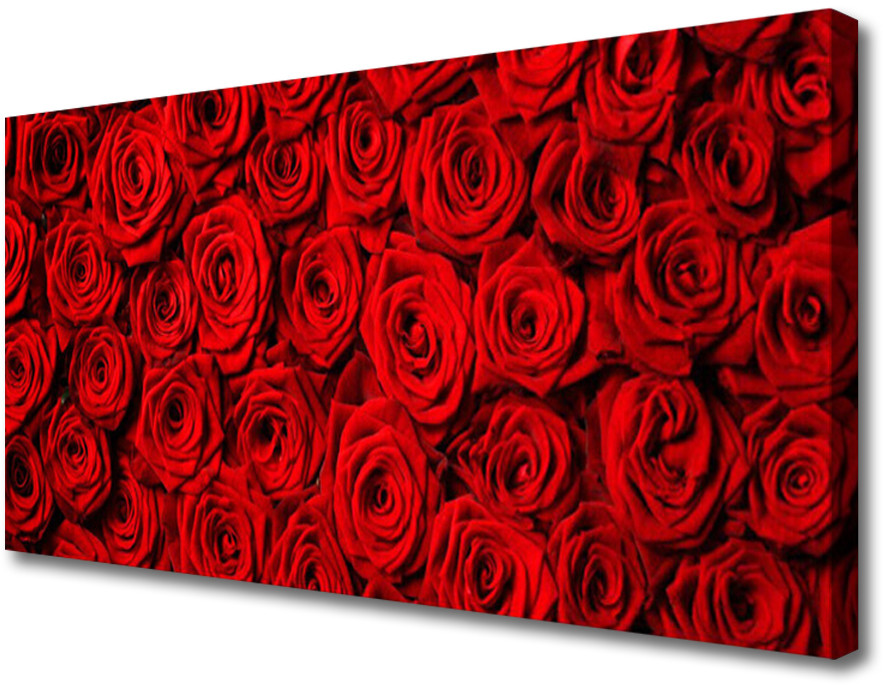 PL Tulup Obraz na Płótnie Róże Na Ścianę 100x50cm