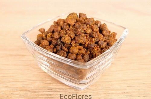 Pszczoły Pierzga pszczela PIERZGA.