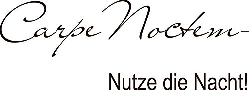 Graz Design Tatuaż na ścianę dekoracja sypialni powiedzenie cytat Carpe noctem noc 670074_40_080