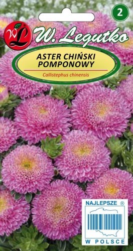Legutko Aster chiński pomponowy - różowy 5903837063932