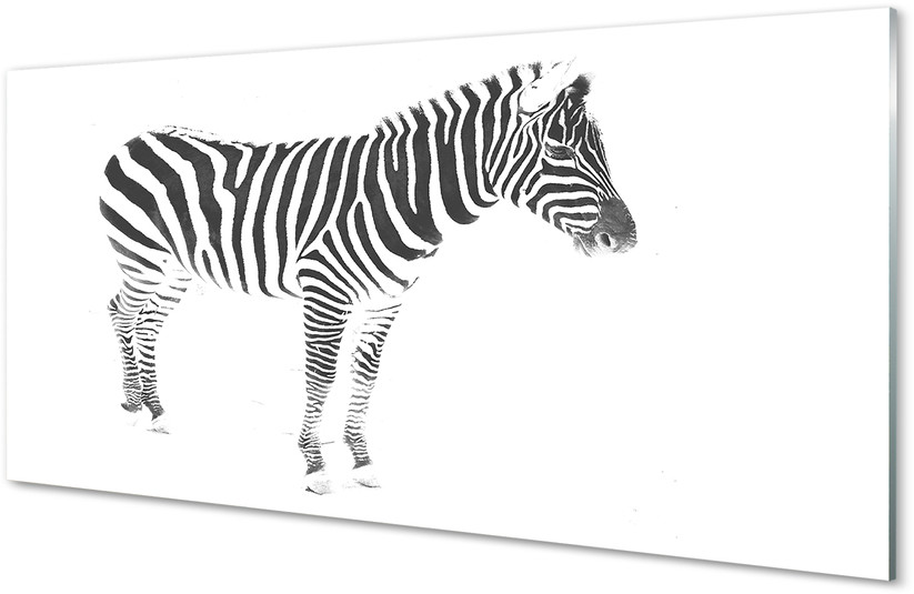 Tulup.pl Szklany Panel Malowana zebra 125x50cm