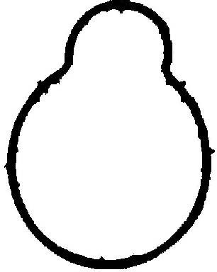 REINZ VICTOR Uszczelka, kolektor dolotowy VICTOR 71-36064-00