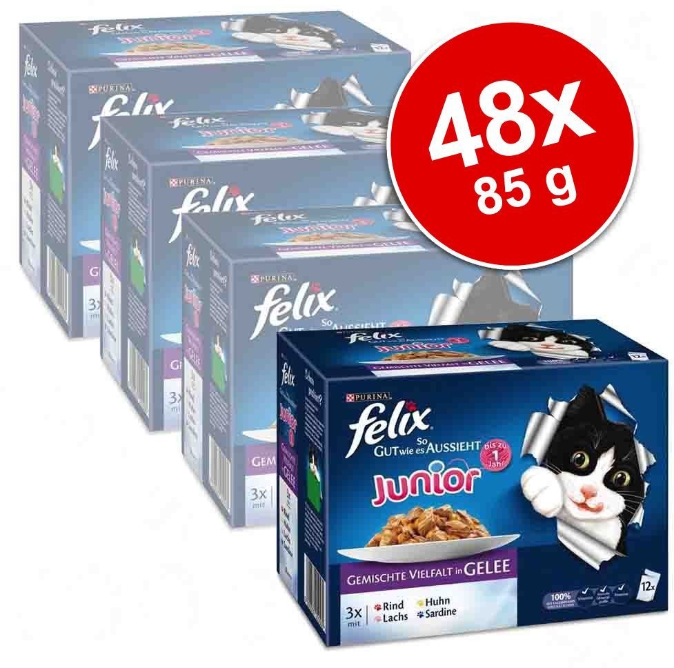 Purina Felix Junior , 12 x 85 g - 4 smaki