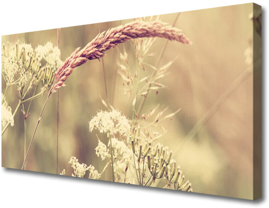 PL Tulup Obraz Canvas Dzikie Rośliny Natura 100x50cm