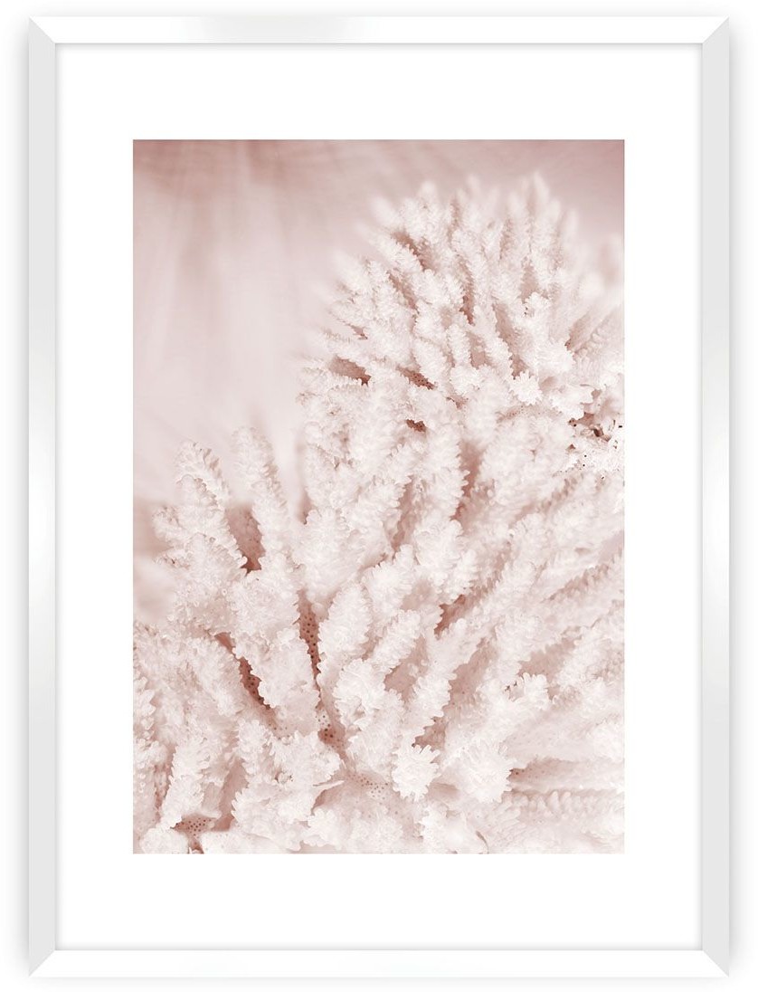 Dekoria Plakat Pastel Pink II 30 x 40 cm Ramka Biała 219D-000-44