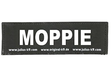 Julius-K9 162lr-K 39471 napis na rzep, moppie, mały, czarny
