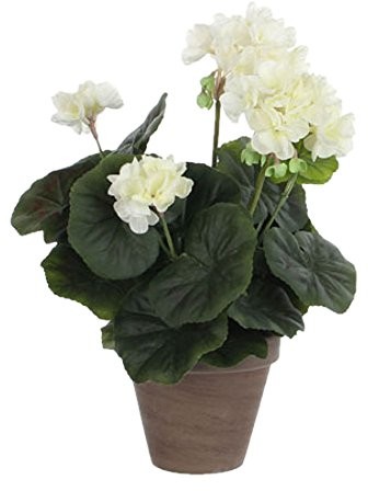 MICA Decorations Dekoracje Mica 975165 kwiat, geranium, duży, Beige 975165