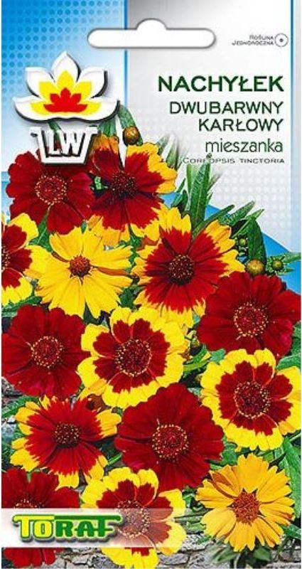 Toraf KWIATY Nachyłek dwubarwny nasiona 1g 00439